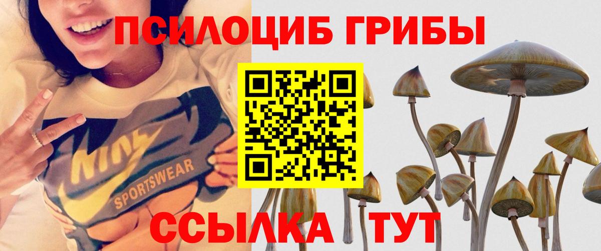где можно купить   Галлюциногенные грибы MAGIC MUSHROOMS  Вход с VPN  Всеволожск 